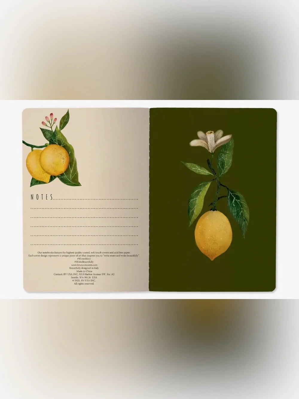 BV by Bruno Visconti these notebooks